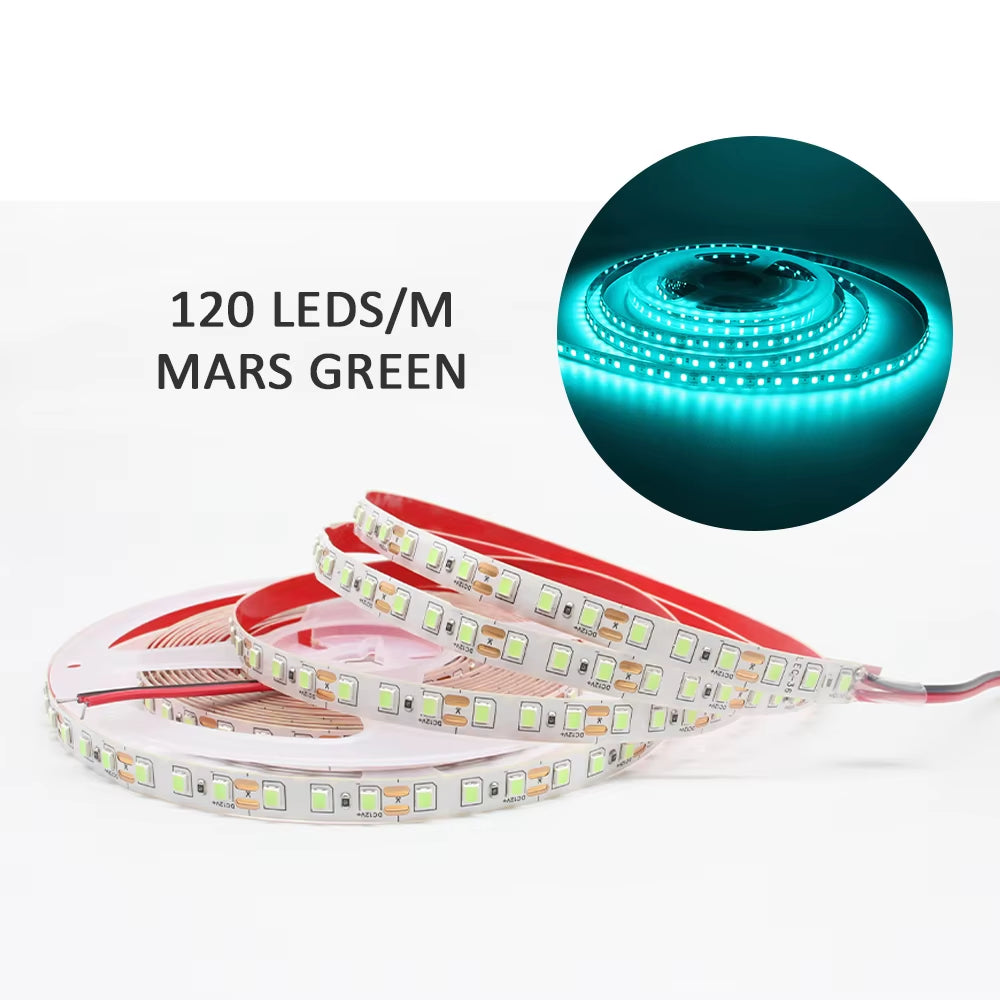 12V LED Strip SMD 2835 1M 2M 3M 4M 5M LED Stripe Tape Light 120LED/M 240LED/M Warm White Flexible Strip Ribbon Home Decor Light