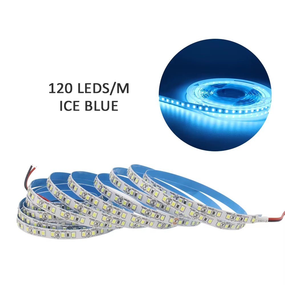 12V LED Strip SMD 2835 1M 2M 3M 4M 5M LED Stripe Tape Light 120LED/M 240LED/M Warm White Flexible Strip Ribbon Home Decor Light